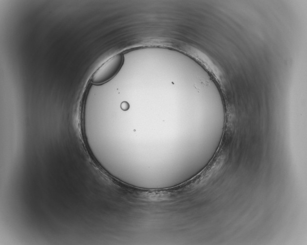 X0000101420952200807211126
