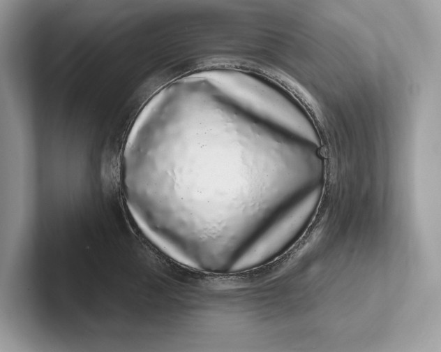 X0000101420953200807211126