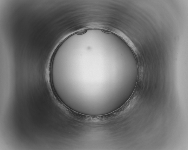 X0000101420955200807211126