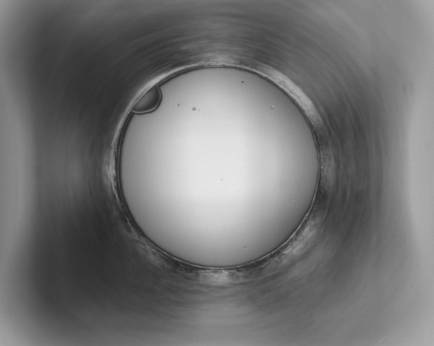 X0000101420956200807211126