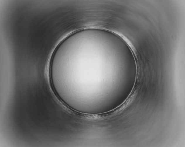 X0000101420957200807211126
