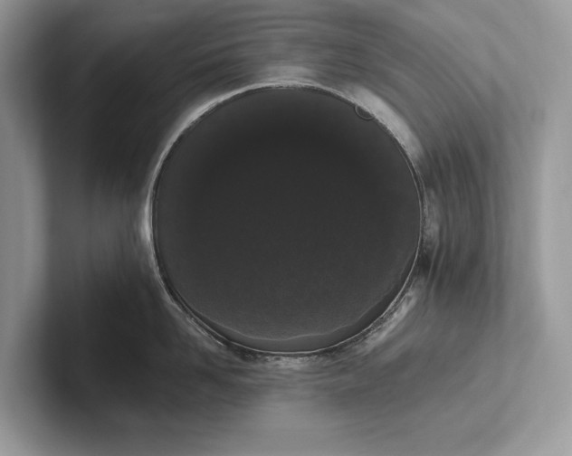 X0000101420958200807211126