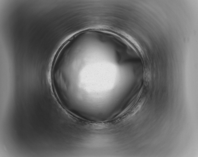 X0000101420959200807211126