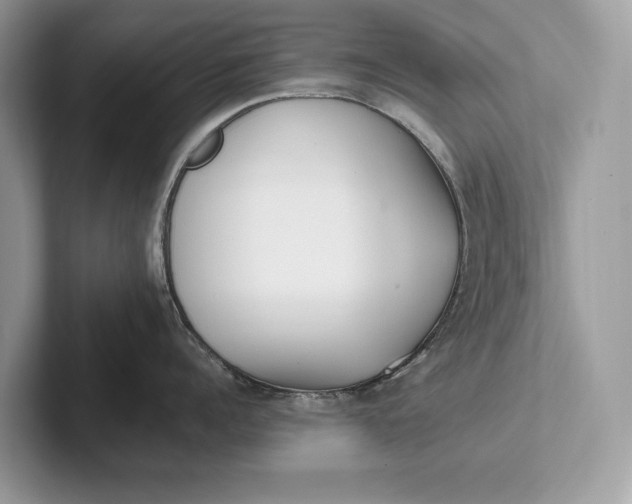 X0000101420960200807211126