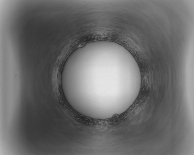 X0000101420961200807211125