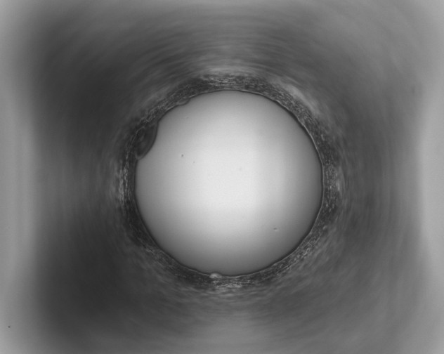 X0000101420965200807211125