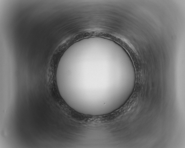X0000101420967200807211125