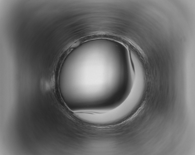 X0000101420969200807211125