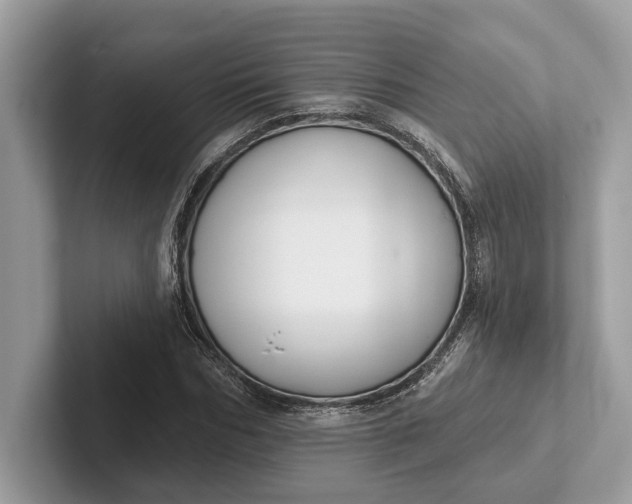 X0000101420970200807211125