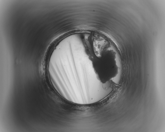 X0000101420971200807211125