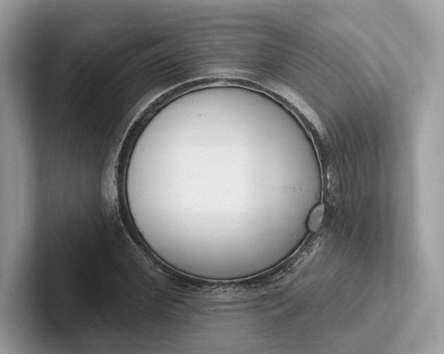 X0000101420972200807211125