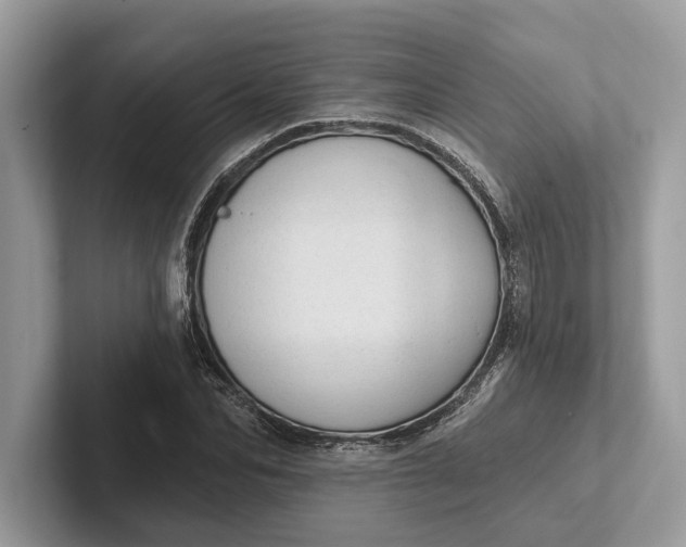 X0000101420974200807211125