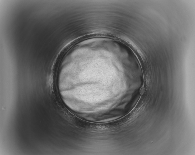 X0000101420975200807211125