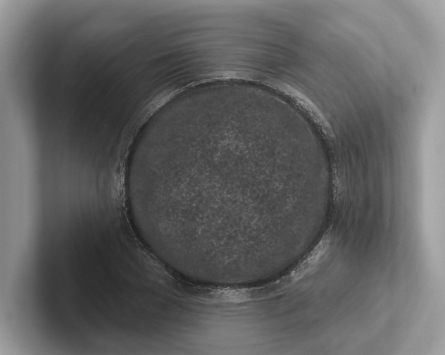 X0000101420977200807211125