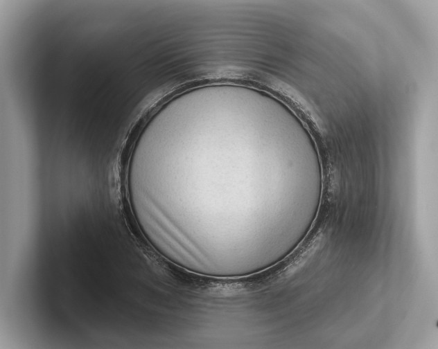 X0000101420978200807211125