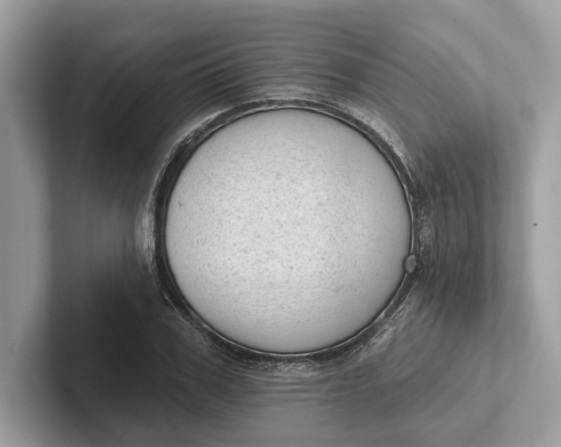 X0000101420979200807211125
