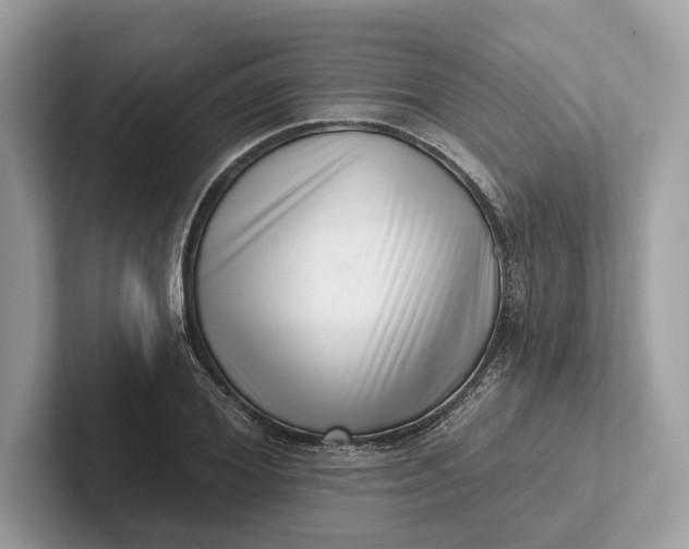 X0000101420980200807211125