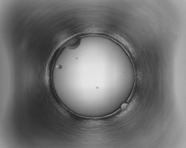 X0000101420981200807211125