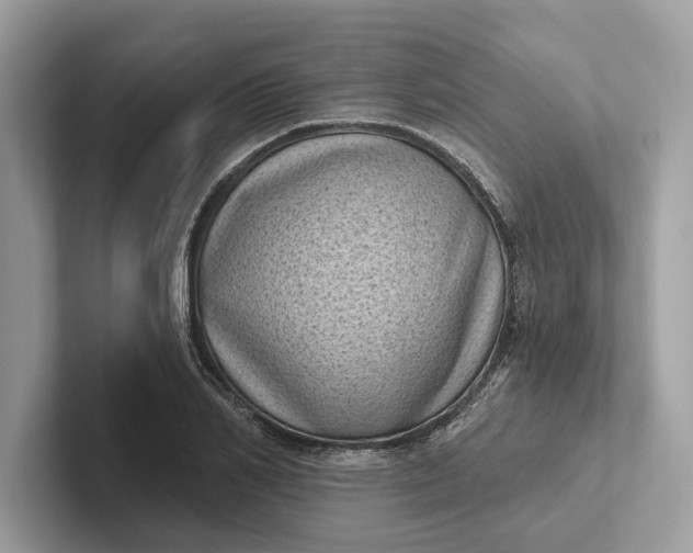 X0000101420982200807211125