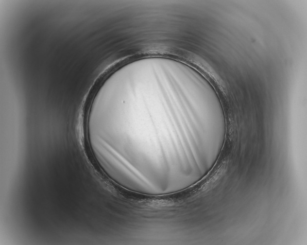 X0000101420984200807211125