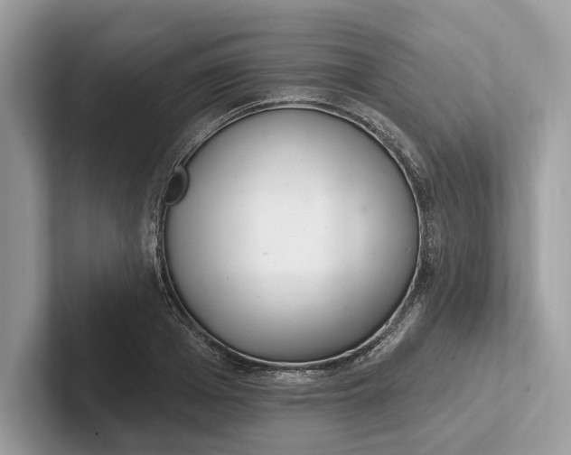 X0000101420985200807211125