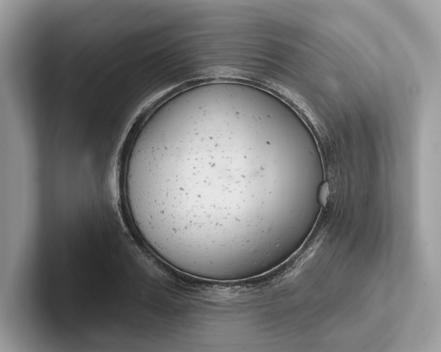 X0000101420987200807211125