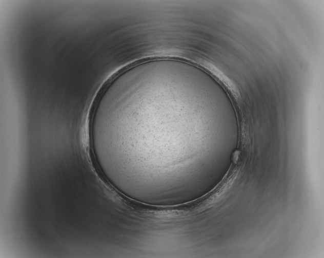 X0000101420988200807211125