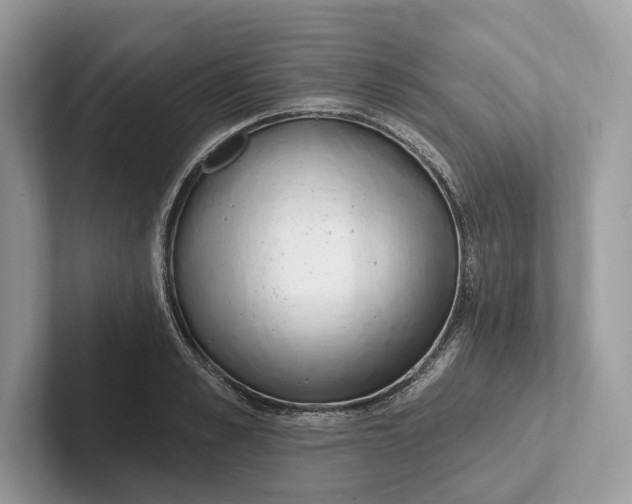 X0000101420989200807211125