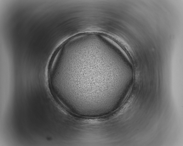 X0000101420990200807211125