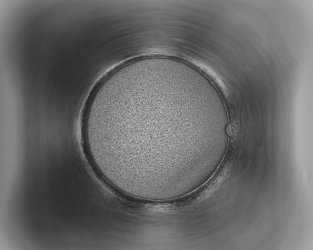 X0000101420991200807211125