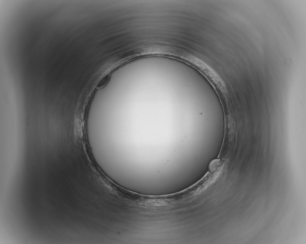 X0000101420993200807211125