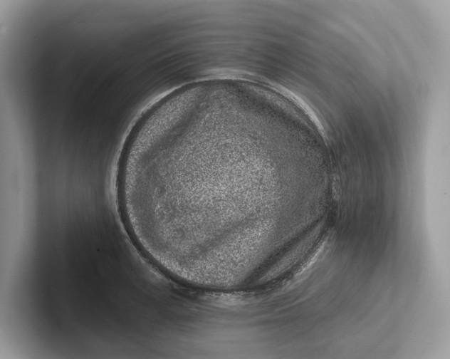 X0000101420995200807211125