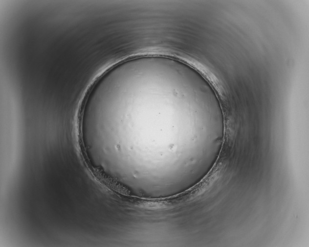 X0000101420998200807211125