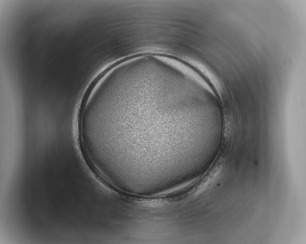 X0000101420999200807211125