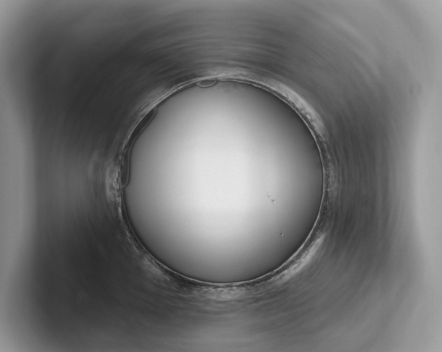 X0000101421001200807211125