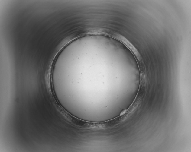 X0000101421002200807211125