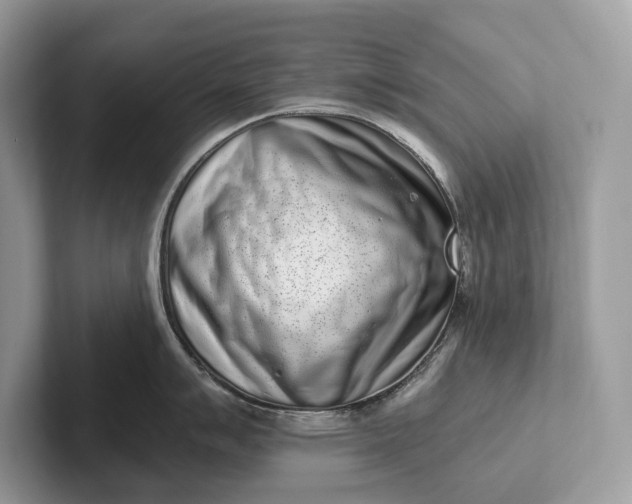 X0000101421007200807211125