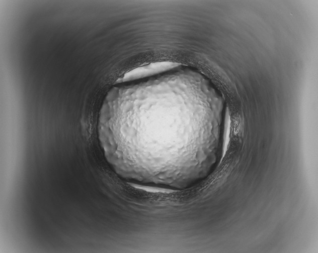 X0000101421011200807211124