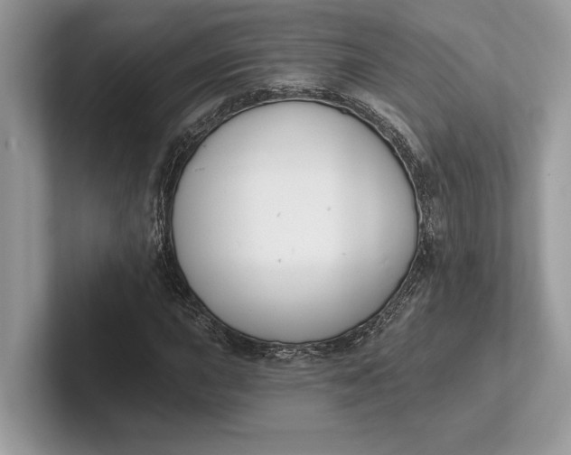 X0000101421015200807211124