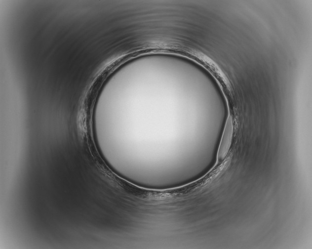 X0000101421019200807211124
