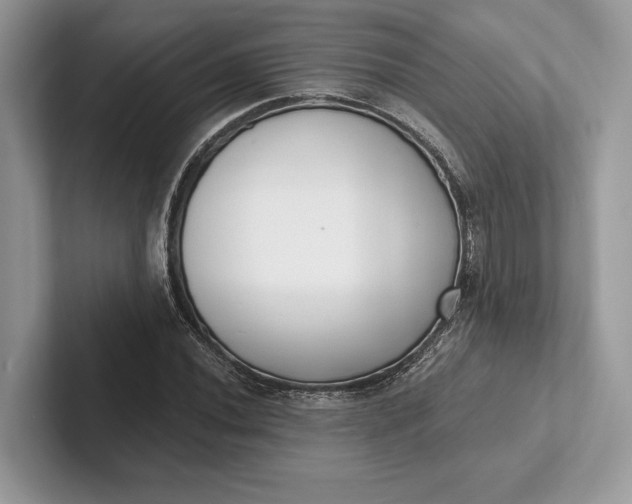X0000101421020200807211124