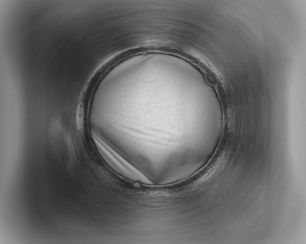X0000101421021200807211124