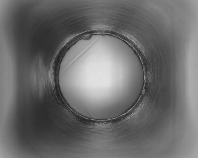 X0000101421022200807211124
