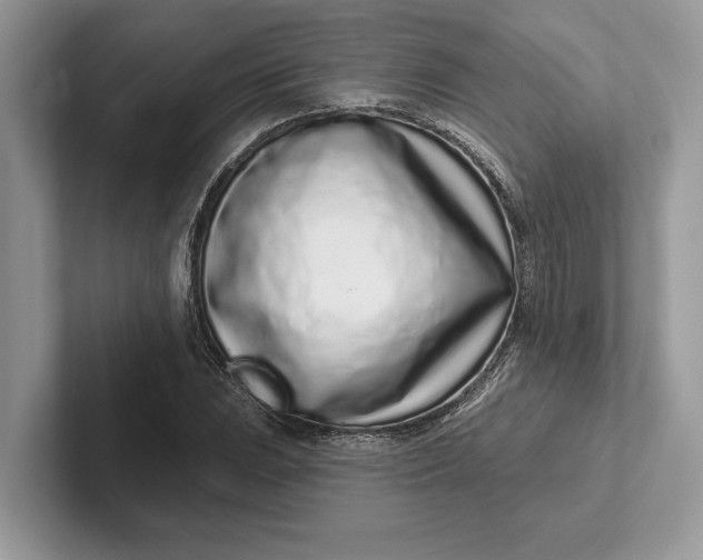 X0000101421023200807211124