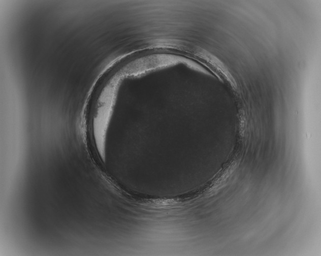 X0000101421024200807211124