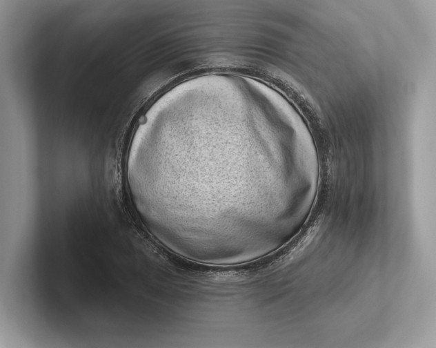 X0000101421025200807211124