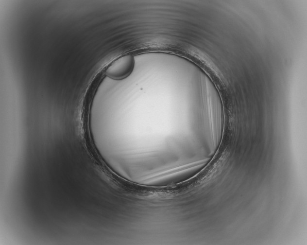 X0000101421026200807211124