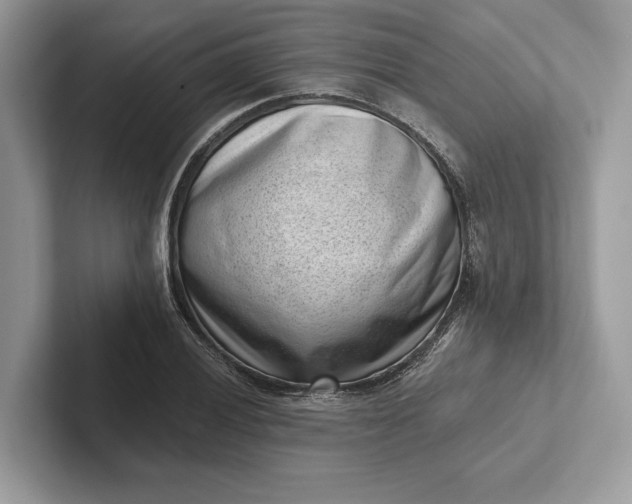 X0000101421028200807211124
