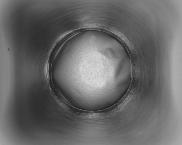 X0000101421030200807211124