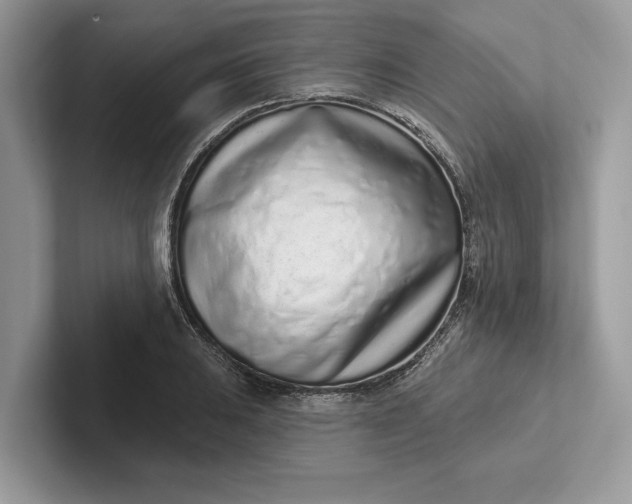 X0000101421031200807211124